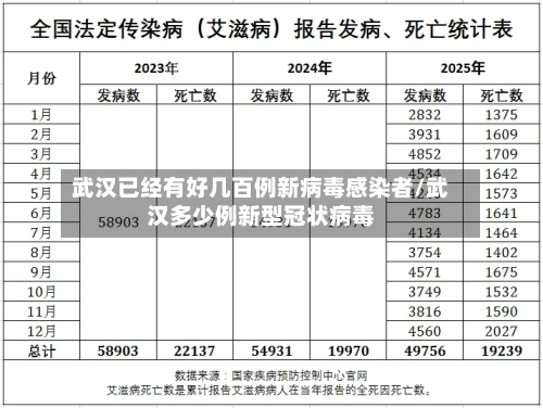 武汉已经有好几百例新病毒感染者/武汉多少例新型冠状病毒-第3张图片
