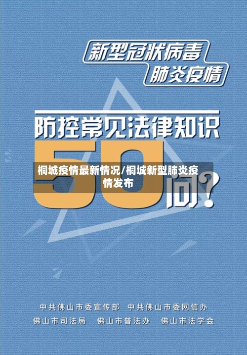 桐城疫情最新情况/桐城新型肺炎疫情发布