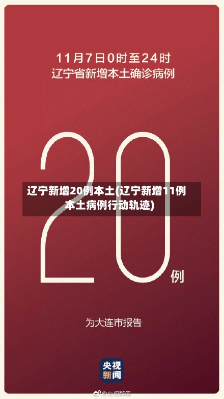 辽宁新增20例本土(辽宁新增11例本土病例行动轨迹)-第2张图片