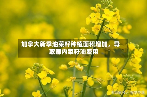 加拿大新季油菜籽种植面积增加，导致国内菜籽油费用下滑-第2张图片