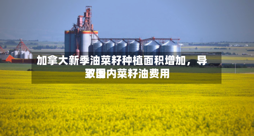 加拿大新季油菜籽种植面积增加	，导致国内菜籽油费用下滑-第3张图片