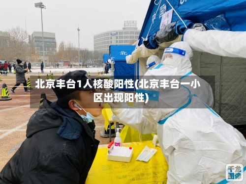 北京丰台1人核酸阳性(北京丰台一小区出现阳性)-第3张图片