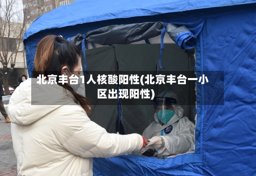 北京丰台1人核酸阳性(北京丰台一小区出现阳性)-第2张图片