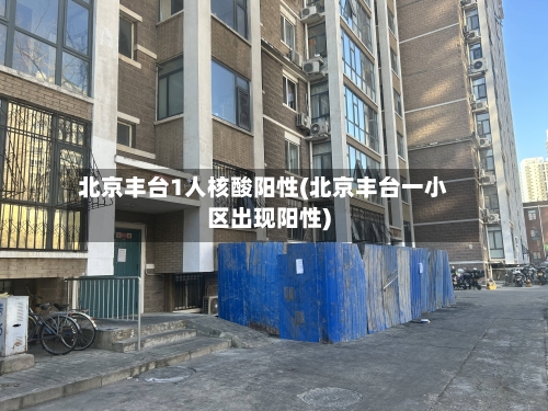 北京丰台1人核酸阳性(北京丰台一小区出现阳性)
