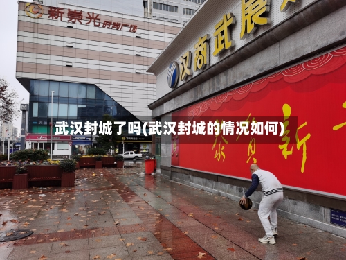 武汉封城了吗(武汉封城的情况如何)