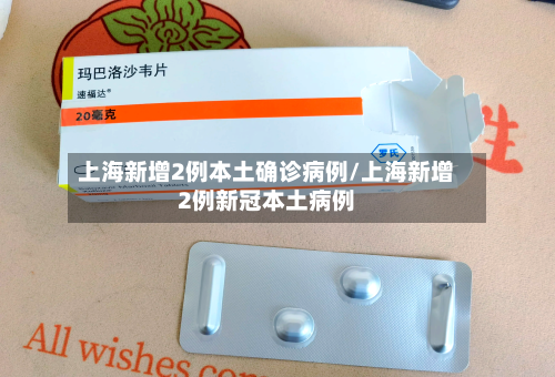 上海新增2例本土确诊病例/上海新增2例新冠本土病例-第3张图片