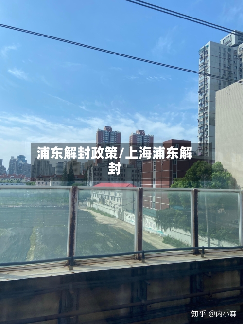 浦东解封政策/上海浦东解封-第3张图片