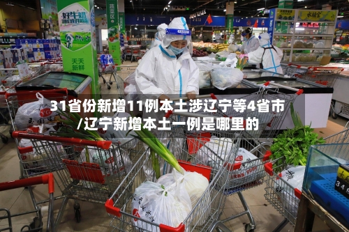 31省份新增11例本土涉辽宁等4省市/辽宁新增本土一例是哪里的