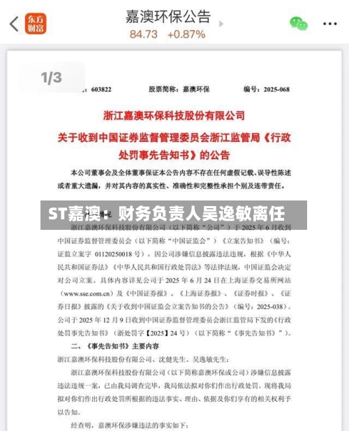 ST嘉澳：财务负责人吴逸敏离任