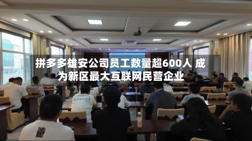 拼多多雄安公司员工数量超600人 成为新区最大互联网民营企业