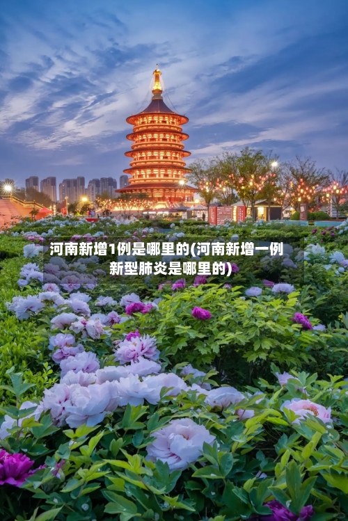 河南新增1例是哪里的(河南新增一例新型肺炎是哪里的)-第2张图片