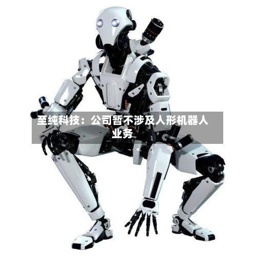至纯科技：公司暂不涉及人形机器人业务-第2张图片