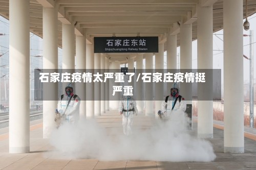 石家庄疫情太严重了/石家庄疫情挺严重
