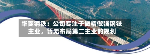 华菱钢铁：公司专注于做精做强钢铁主业，暂无布局第二主业的规划