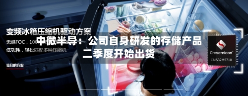 中微半导：公司自身研发的存储产品二季度开始出货-第3张图片