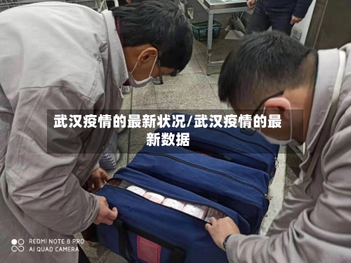 武汉疫情的最新状况/武汉疫情的最新数据