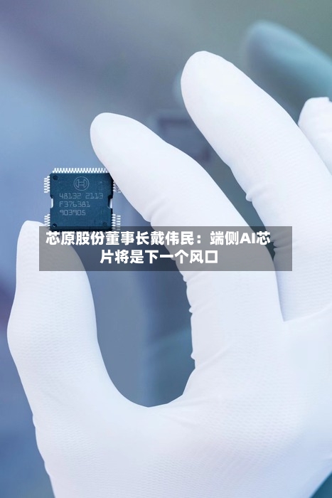 芯原股份董事长戴伟民:端侧AI芯片将是下一个风口-第2张图片
