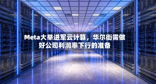 Meta大举进军云计算	，华尔街需做好公司利润率下行的准备-第2张图片