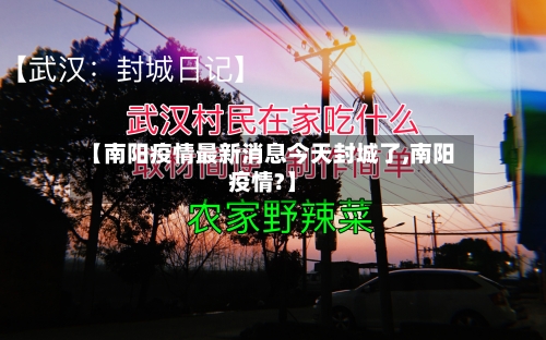 【南阳疫情最新消息今天封城了,南阳疫情?】-第3张图片