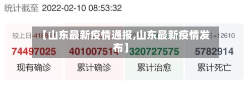 【山东最新疫情通报,山东最新疫情发布】