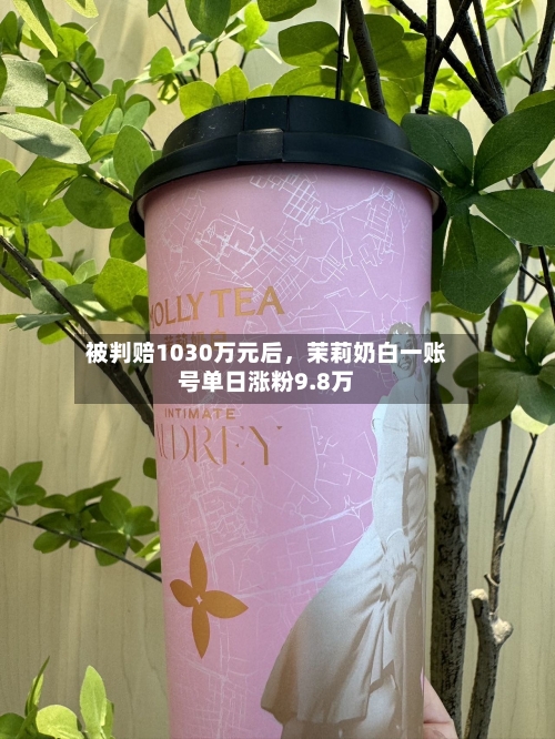 被判赔1030万元后，茉莉奶白一账号单日涨粉9.8万