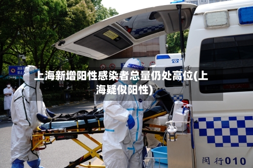 上海新增阳性感染者总量仍处高位(上海疑似阳性)-第3张图片