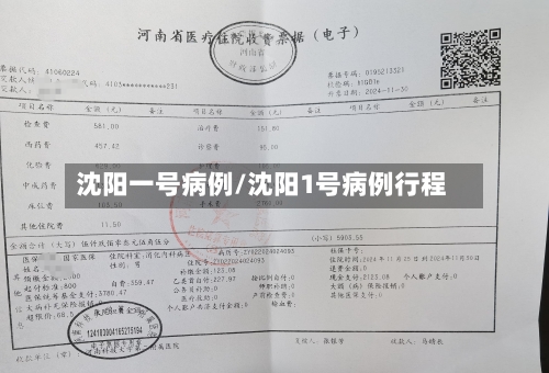 沈阳一号病例/沈阳1号病例行程