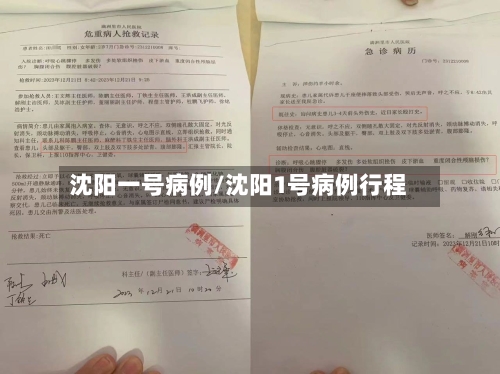 沈阳一号病例/沈阳1号病例行程-第3张图片