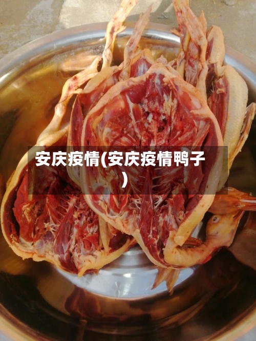 安庆疫情(安庆疫情鸭子)-第2张图片