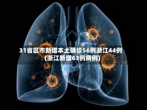 31省区市新增本土确诊56例浙江44例(浙江新增63例病例)-第3张图片
