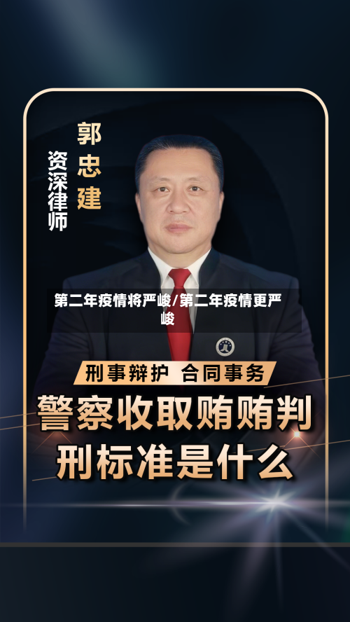 第二年疫情将严峻/第二年疫情更严峻-第2张图片