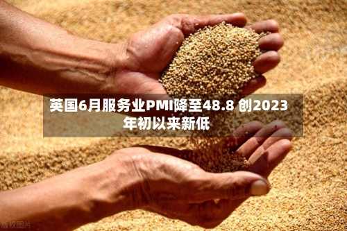 英国6月服务业PMI降至48.8 创2023年初以来新低