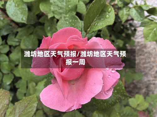 潍坊地区天气预报/潍坊地区天气预报一周-第3张图片