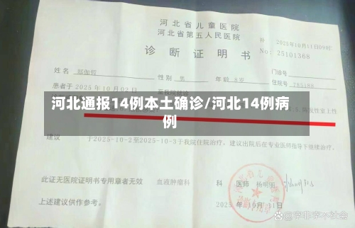 河北通报14例本土确诊/河北14例病例