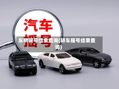 车辆摇号结果查询(轿车摇号结果查询)