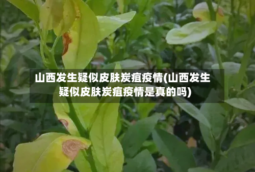 山西发生疑似皮肤炭疽疫情(山西发生疑似皮肤炭疽疫情是真的吗)