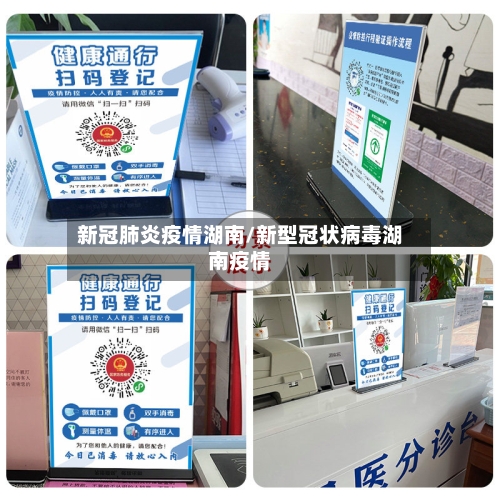 新冠肺炎疫情湖南/新型冠状病毒湖南疫情-第2张图片