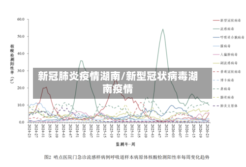 新冠肺炎疫情湖南/新型冠状病毒湖南疫情