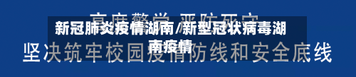 新冠肺炎疫情湖南/新型冠状病毒湖南疫情-第3张图片