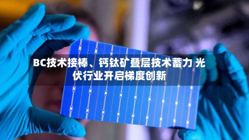 BC技术接棒、钙钛矿叠层技术蓄力 光伏行业开启梯度创新-第2张图片