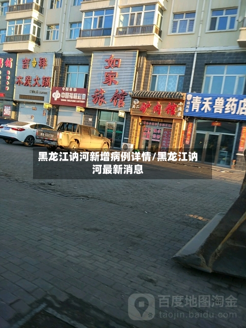黑龙江讷河新增病例详情/黑龙江讷河最新消息-第2张图片