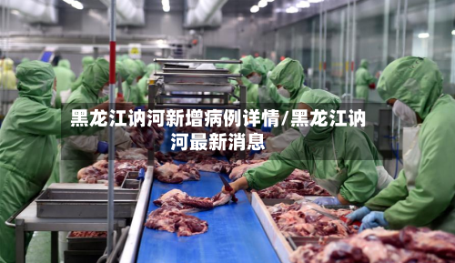 黑龙江讷河新增病例详情/黑龙江讷河最新消息