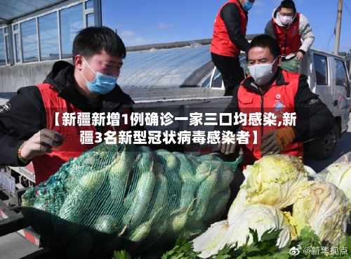 【新疆新增1例确诊一家三口均感染,新疆3名新型冠状病毒感染者】-第2张图片