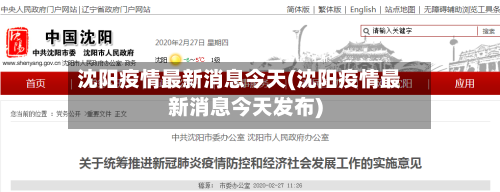沈阳疫情最新消息今天(沈阳疫情最新消息今天发布)