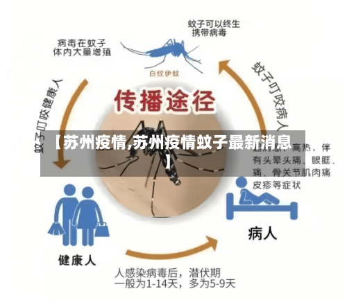 【苏州疫情,苏州疫情蚊子最新消息】