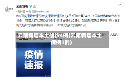 云南新增本土确诊4例(云南新增本土病例1例)-第3张图片
