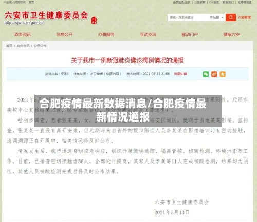 合肥疫情最新数据消息/合肥疫情最新情况通报-第2张图片