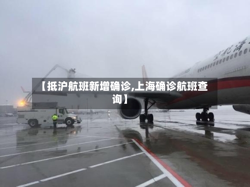 【抵沪航班新增确诊,上海确诊航班查询】-第2张图片