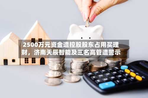 2500万元资金遭控股股东占用买理财，济南天辰智能及三名高管遭警示-第3张图片