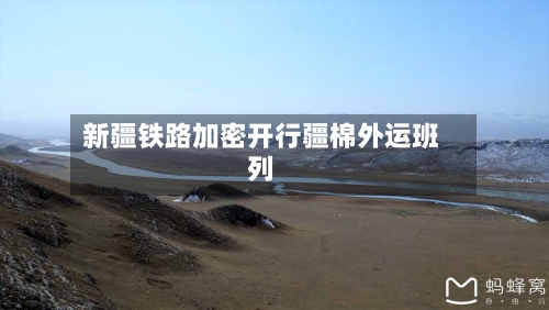 新疆铁路加密开行疆棉外运班列